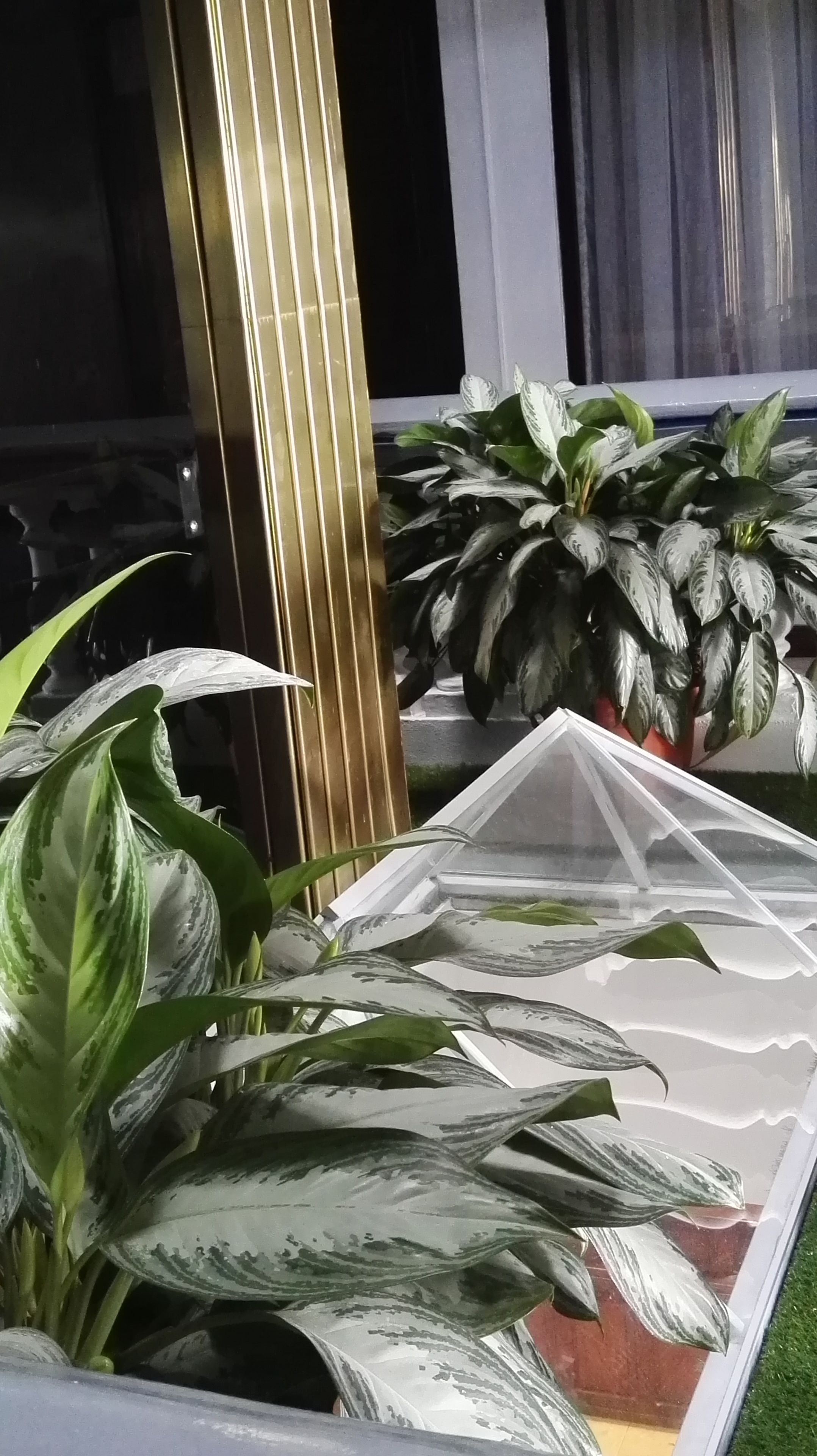 Foto - Hotel América Heredia