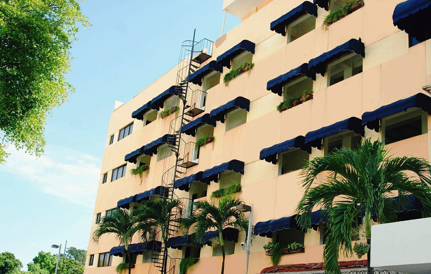 Foto - Royal Palace Hotel