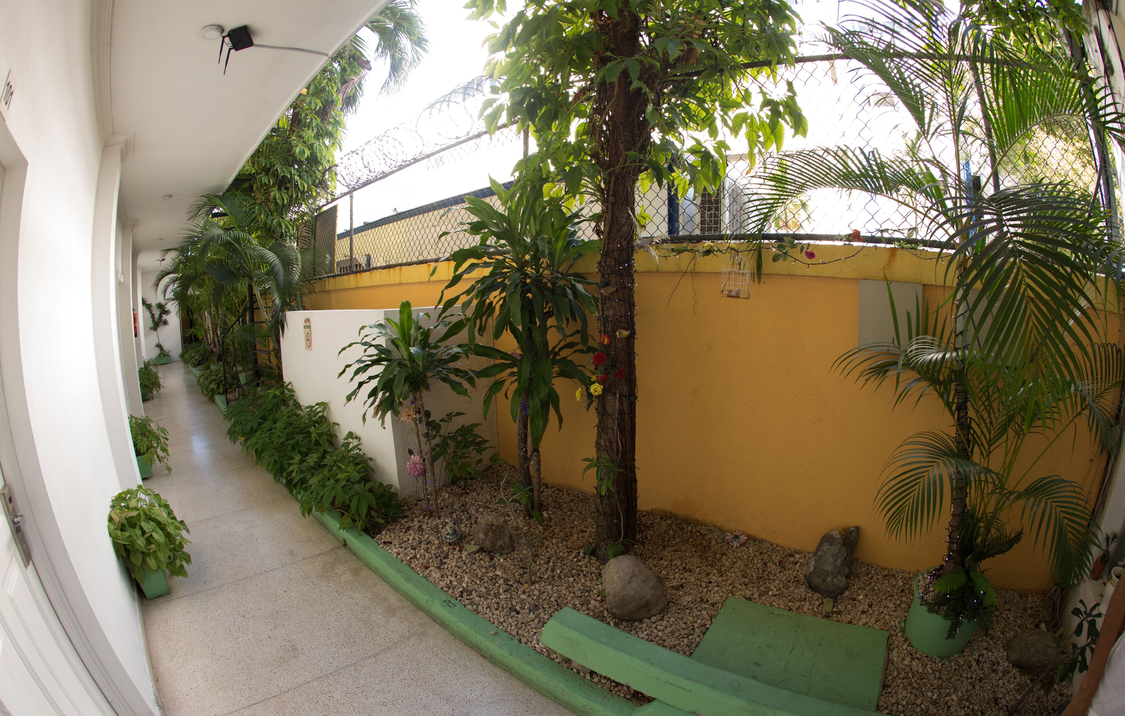 Foto - Royal Palace Hotel