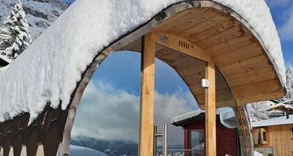 Beautiful chalet with fantastic mountain views