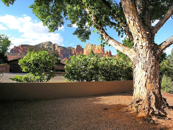 A tree-lined courtyard with a view of red rock formations in the background.