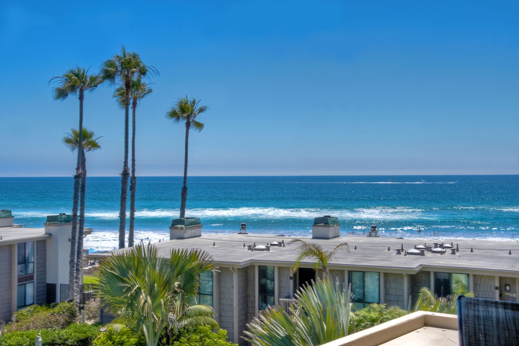 A beachfront hotel with palm trees, ocean views, and a pool area.
