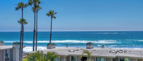 A beachfront hotel with palm trees, ocean views, and a pool area.