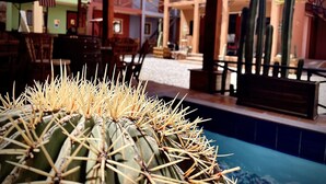 A cactus in a pool area with a patio and outdoor seating. - Hotel West Refugio (San Juan del Río)