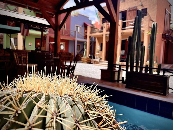 A cactus in a pool area with a patio and outdoor seating. - Hotel West Refugio (San Juan del Río)
