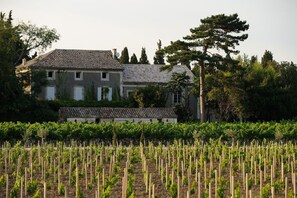 Exterior - Domaine de l'Odylée, in the heart of the vineyards, ideal for family reunions and seminars. (Violes)
