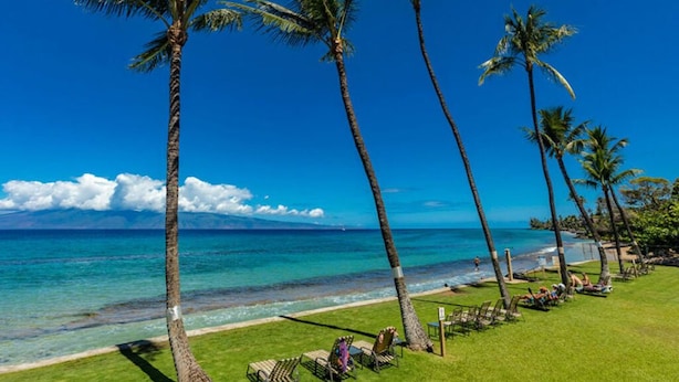 A beach with palm trees and a clear blue sky. - Affordable GEM/NewA/C, 1br/1ba w/Tropical Lanai, Steps to Ocean, LOCATION Unit 2 (Lahaina)