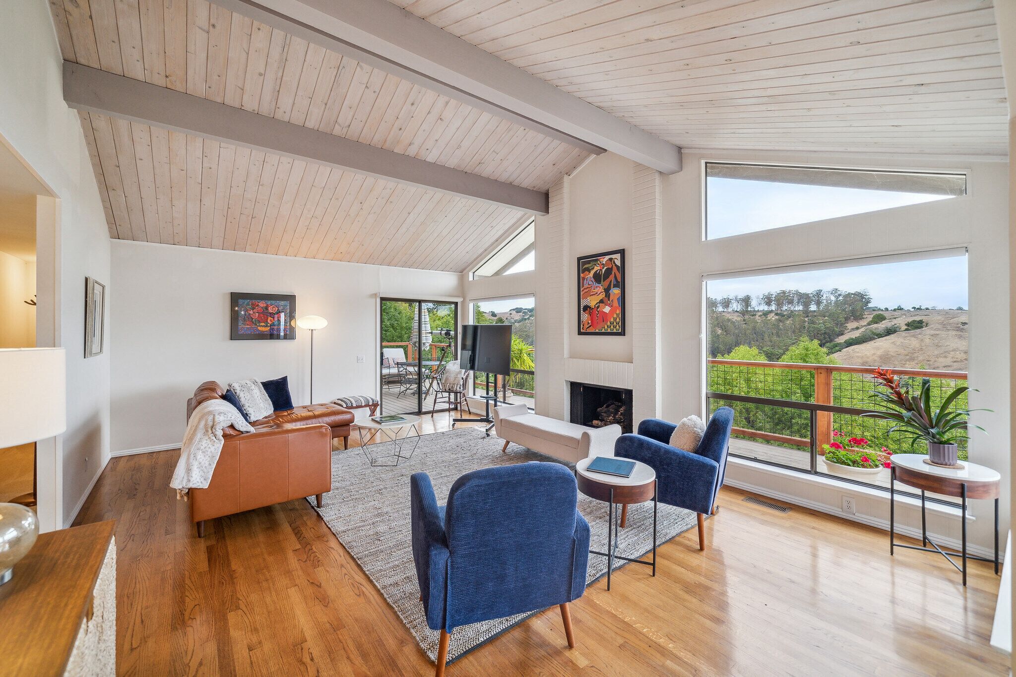 智能电视、壁炉