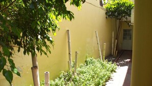 A narrow alley with a yellow wall, bamboo sticks, and green plants.