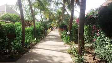 Biệt thự phong cách cổ điển, 1 giường đôi | Quang cảnh từ phòng