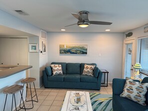 Älytelevisio, takka, DVD-soitin, kirjoja