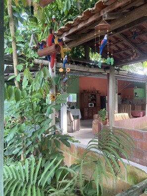 Terraza o patio