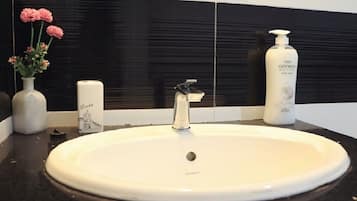 Secadora de cabello, toallas, jabón, shampoo