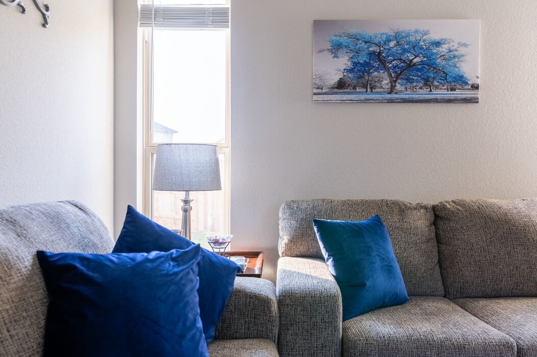 Télévision, Hulu, livres, services de streaming