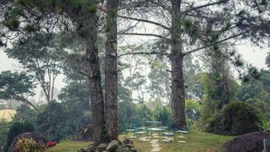 A garden with a stone path leading to a table and chairs. - Cozy Villa Genting Highlands (Genting Highlands)