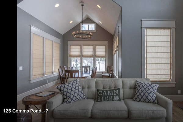 Televisión, chimenea, reproductor de DVD, libros