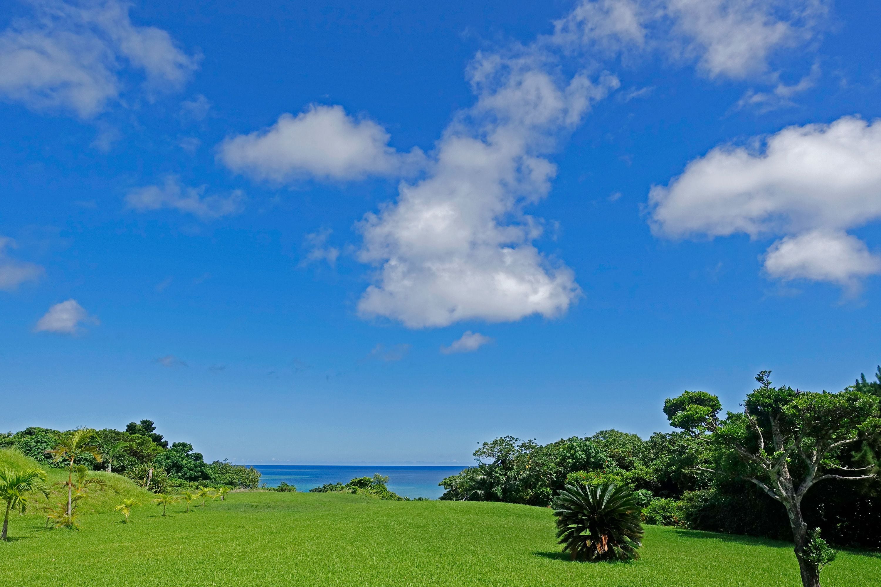 A lush green field with a clear blue sky and a distant view of the ocean.