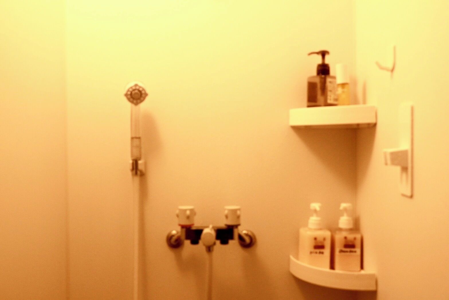 Un baño con ducha, perchero y estante con artículos de aseo.
