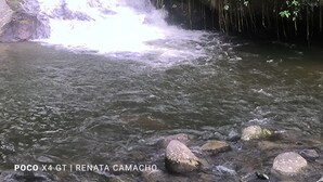 Ein natürlicher Wasserfall inmitten eines bewaldeten Gebiets mit dichter Vegetation und Felsen.