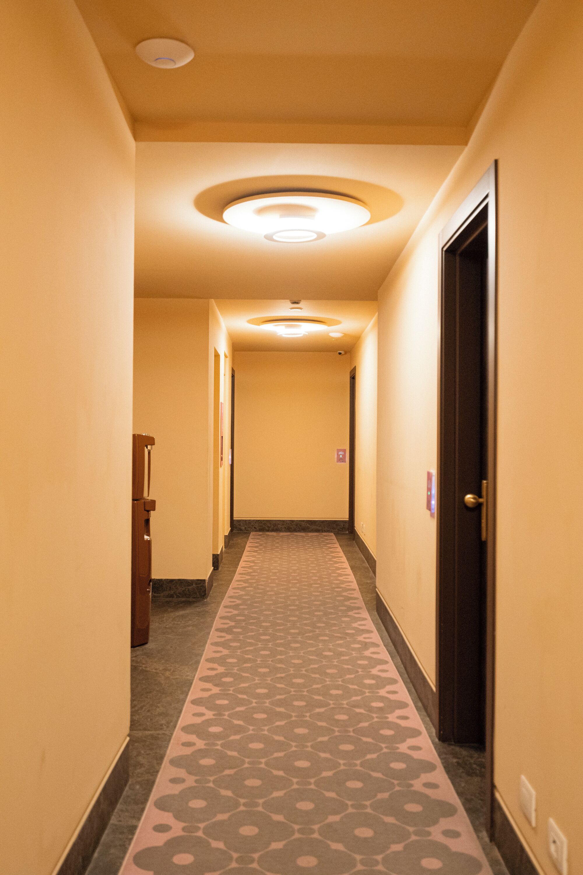 A hotel hallway with a patterned carpet, a ceiling light fixture, and a door on the right.