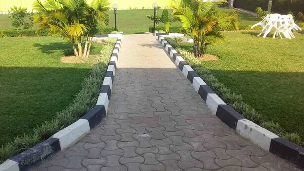 Un sendero pavimentado que conduce a la entrada de un edificio, bordeado de césped y pequeñas palmeras.