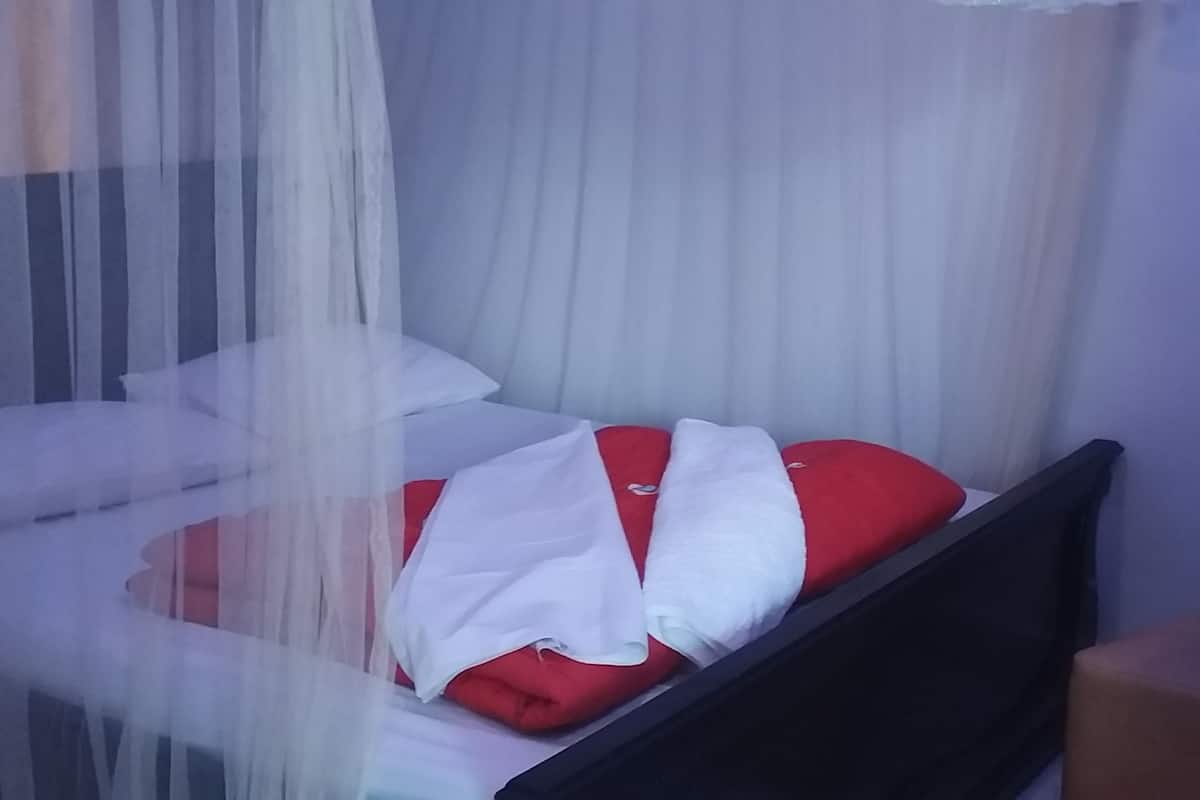 A bed with a mosquito net, a red pillow, and a white blanket.