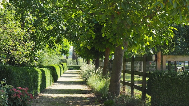 Un chemin de jardin bordé de haies et d’arbres soigneusement taillés, qui mène à une zone délimitée par une clôture.