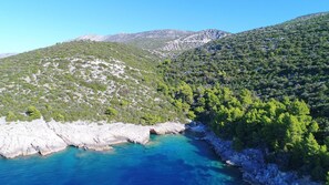 A coastal landscape with rocky cliffs, clear blue waters, and dense green forests.