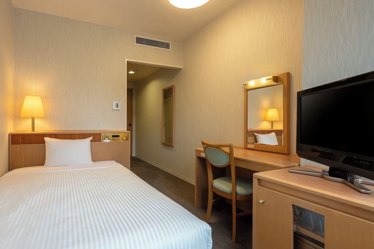 Habitación de hotel con cama, escritorio, silla, televisor y espejo.