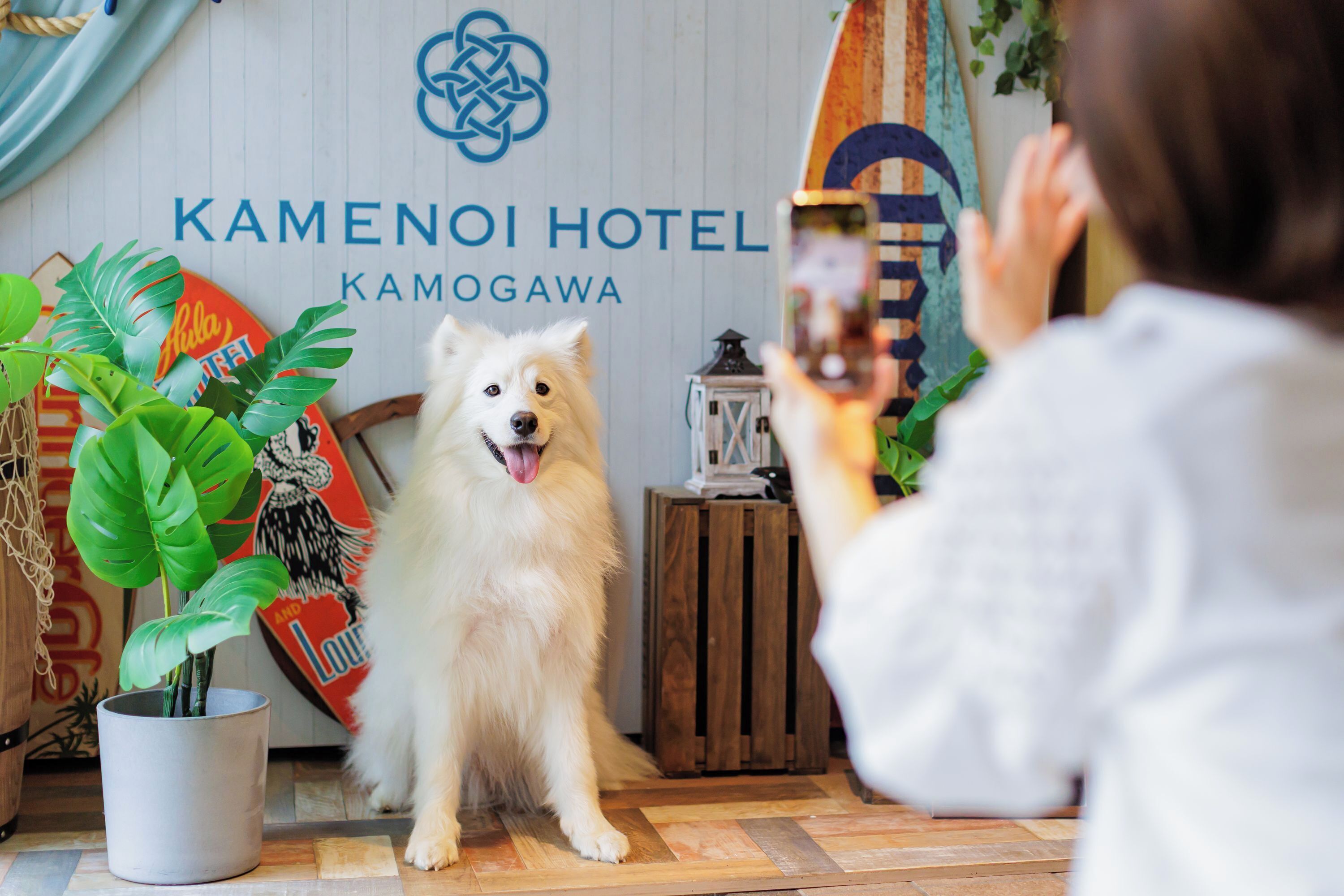 ペット用設備・サービス