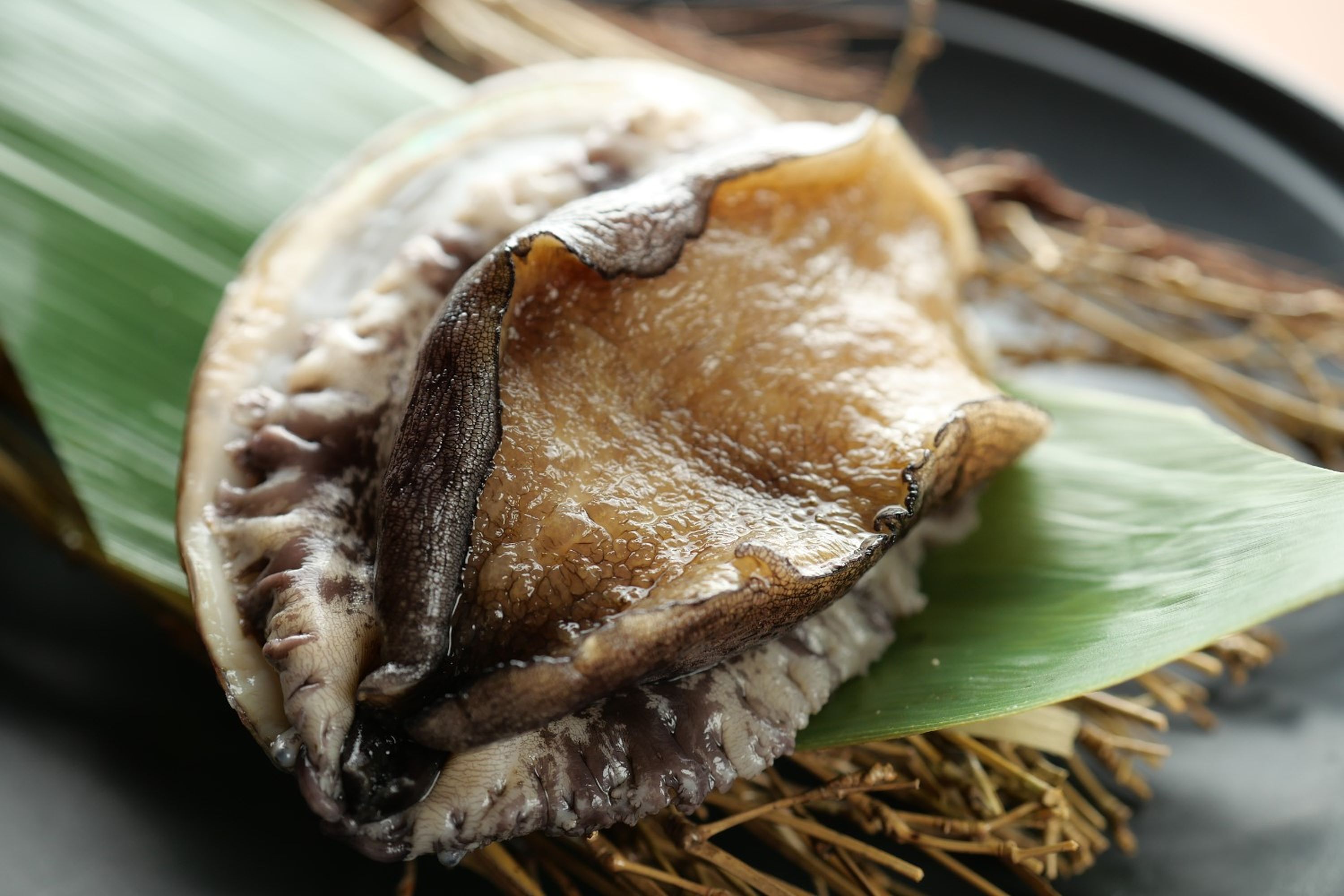 A close-up of a shell with a leaf and straw.