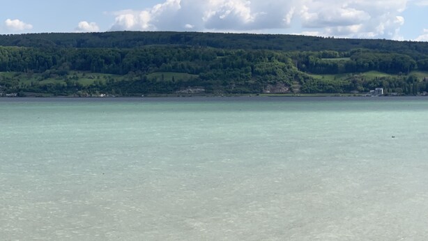 A clear view of a lake with a forested hill in the background. - Gästehaus am See (Gaienhofen)