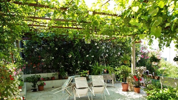 Een overdekt terrasgedeelte met een tafel en stoelen, omringd door potplanten en een pergola met klimplanten.