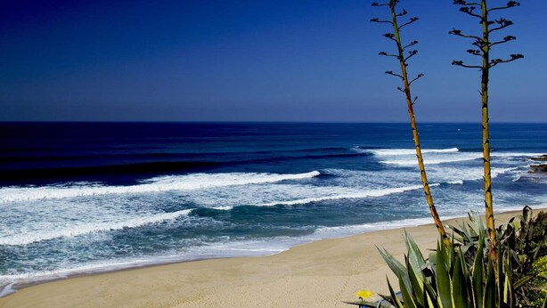 A beach with waves, a clear sky, and tall plants. - GiG Capsule Hostel (Mafra)