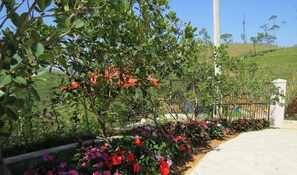 Taman