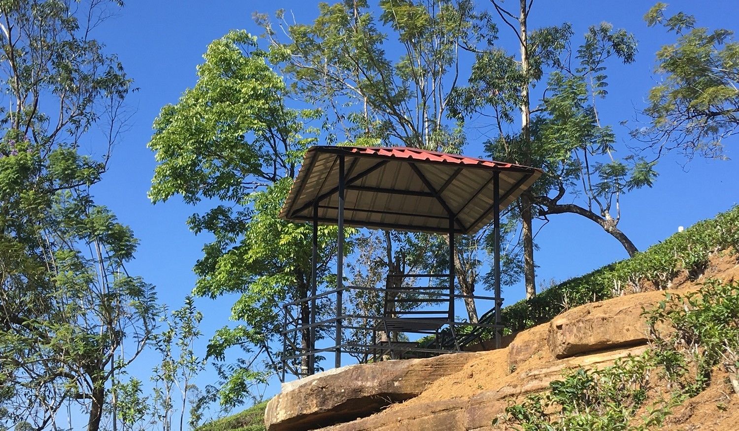 A rock structure with a metal roof, surrounded by trees and vegetation.