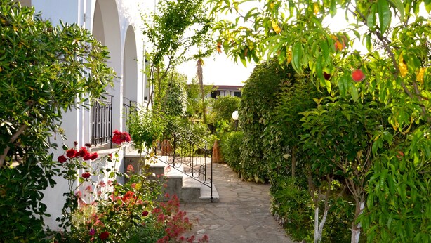 Un sendero de piedra que lleva a un edificio con arcos blancos y un jardín con diversas plantas y flores.