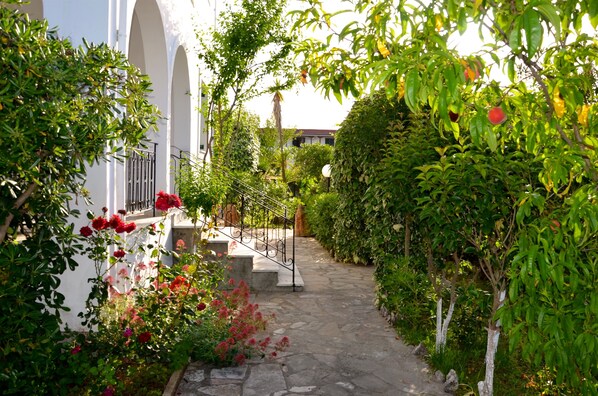 Entrada de la propiedad