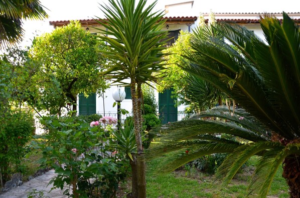 A garden with palm trees, a pathway, and a building with green shutters. - Villa Kostas (Corfu)