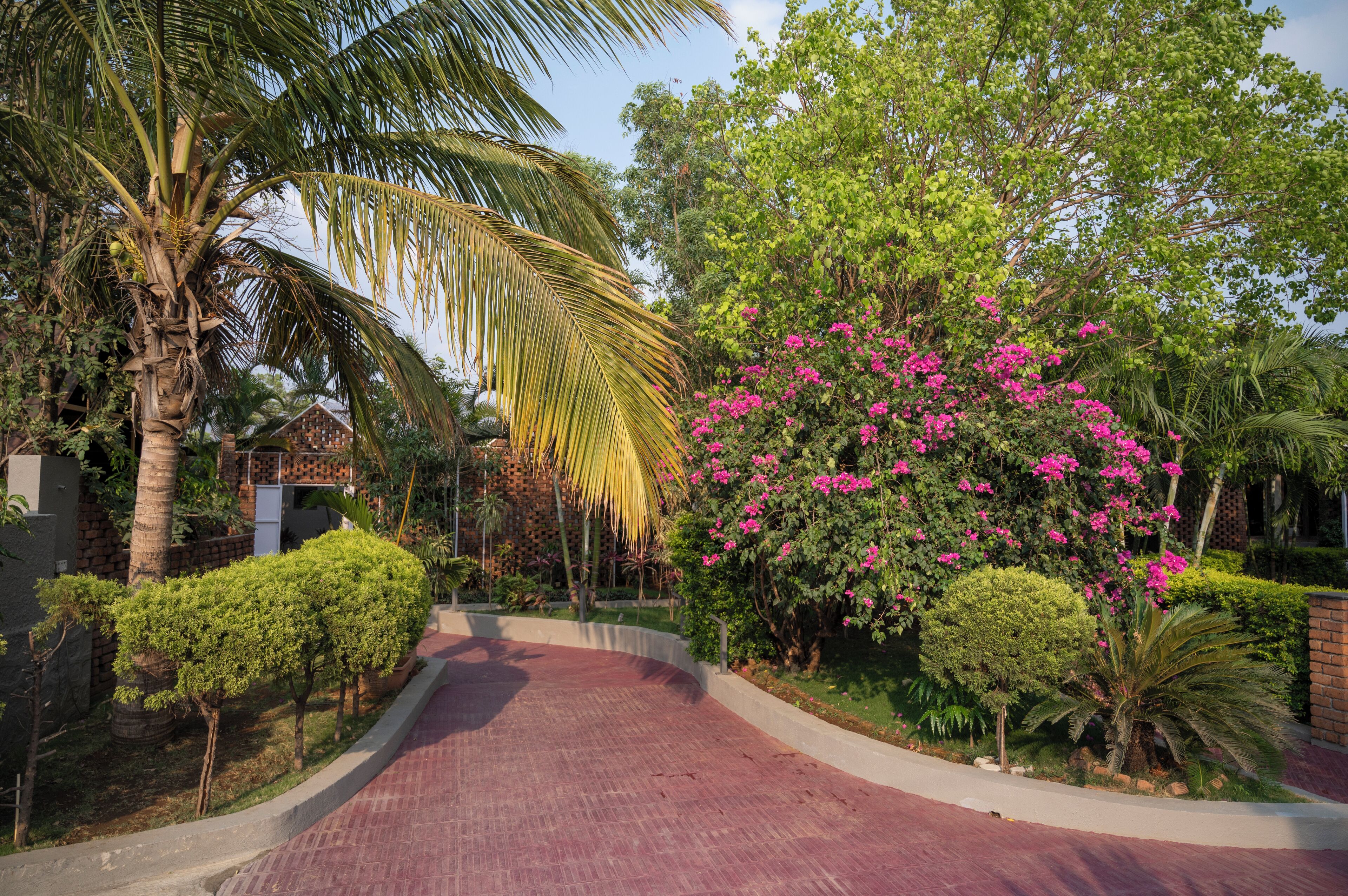 A paved pathway leading through a landscaped garden with palm trees, flowering bushes, and a brick wall.