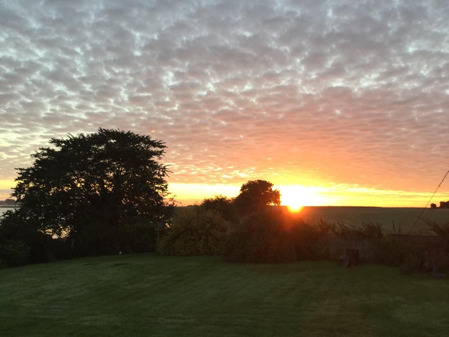 A sunset over a grassy field with trees and a building in the distance.