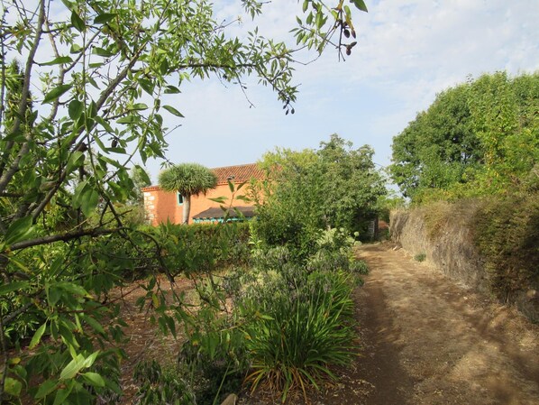 A rustic building with a tiled roof, surrounded by lush greenery and a dirt path leading to it.