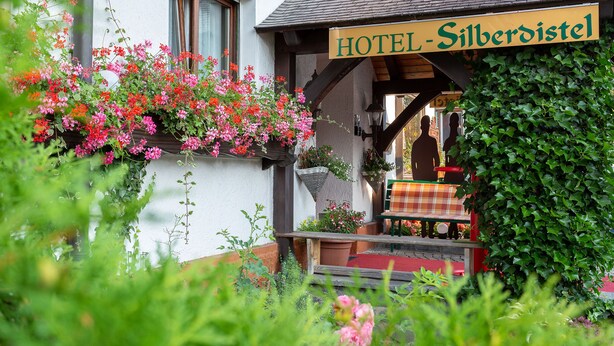 A hotel entrance with a sign reading "HOTEL-Silberdistel," a wooden bench, and potted plants. - Hotel Garni Silberdistel (Hinterzarten)