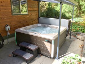 Private spa tub - 65GS - Hot Tub - Wi-Fi - Pets Ok - BBQ - Sleeps 10 (Deming)