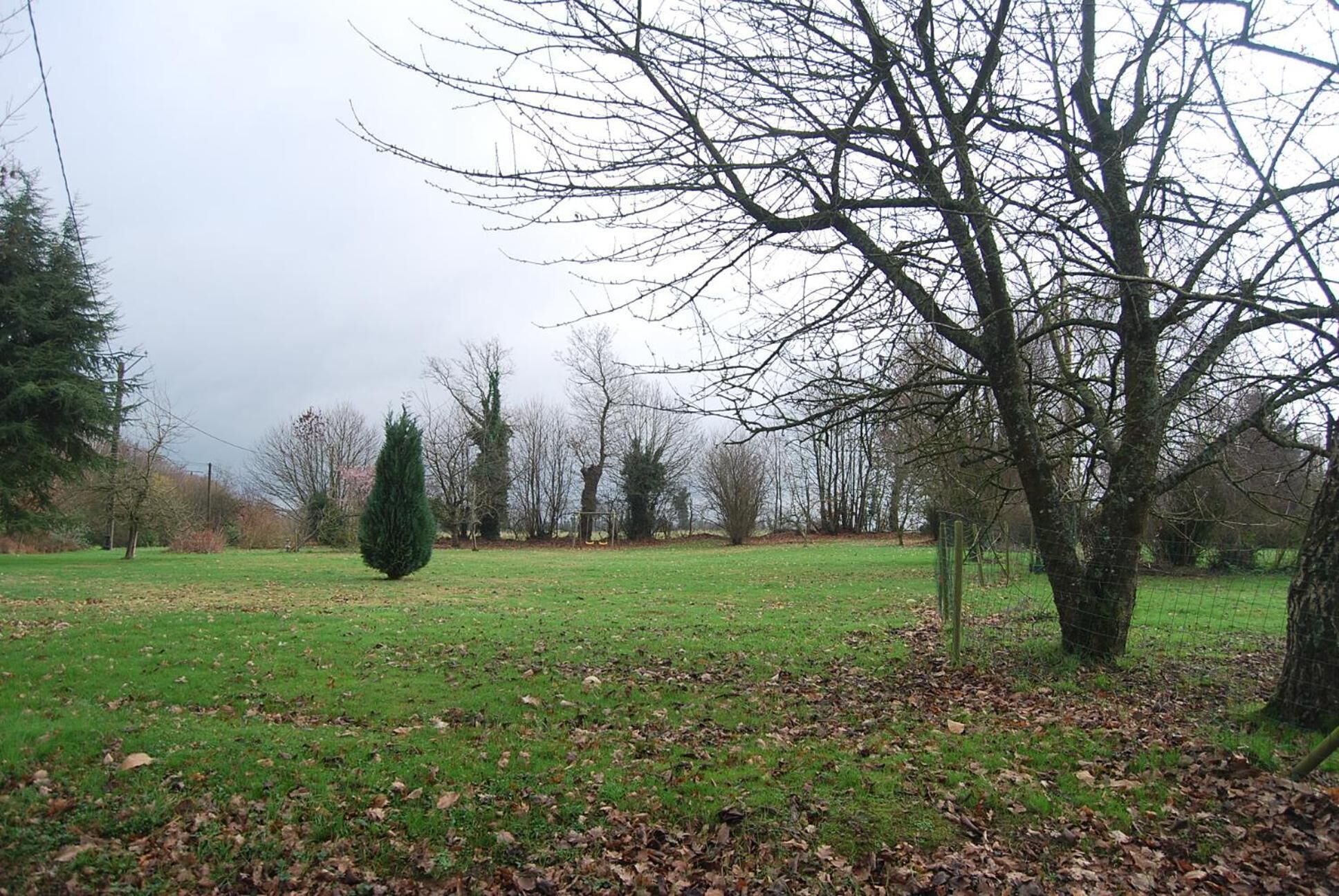 Un parc doté d’une vaste pelouse, de plusieurs arbres et d’une zone délimitée par une clôture.