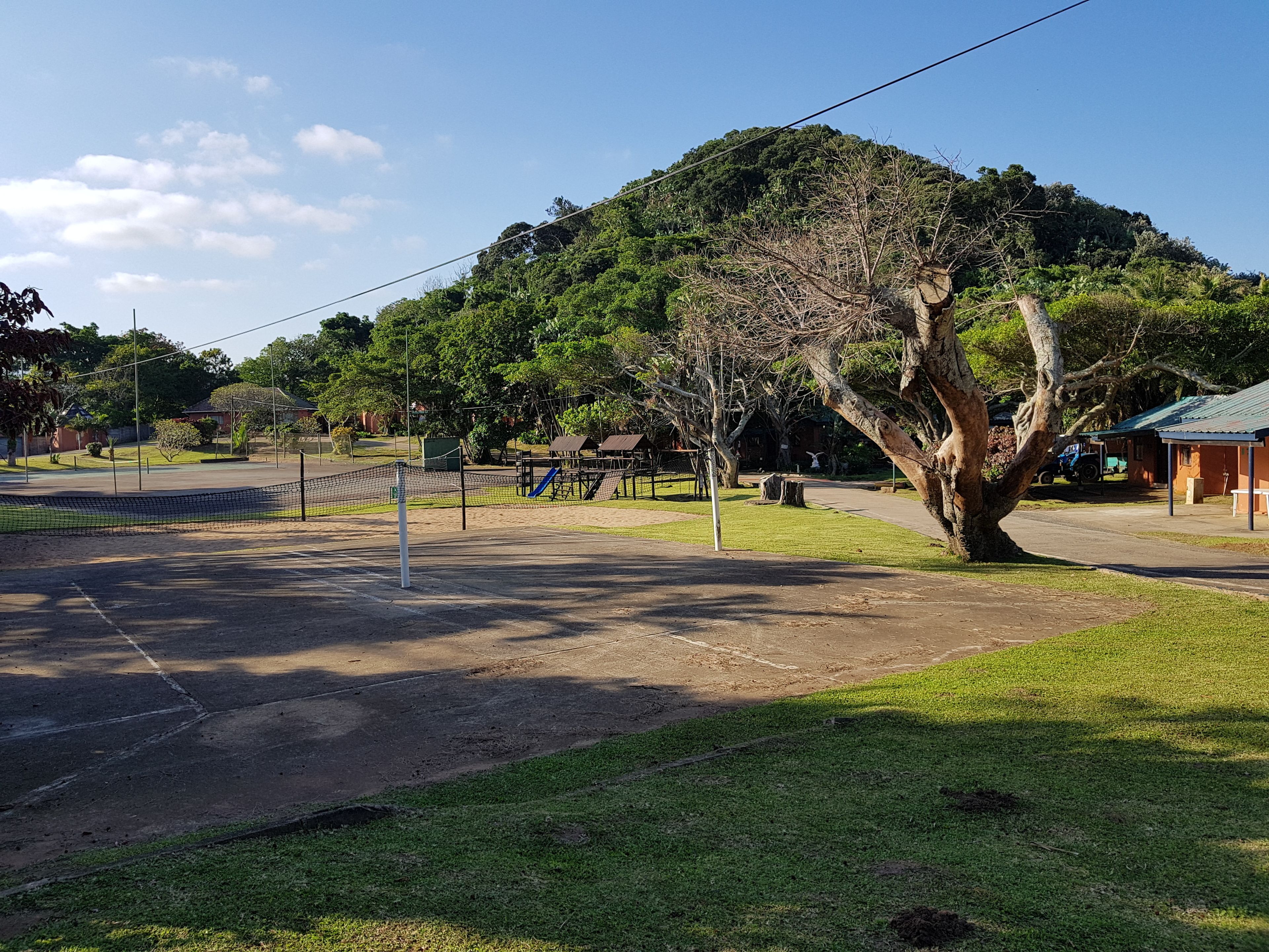 A park with a volleyball net, a playground, and a large tree.