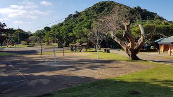 A park with a volleyball net, a playground, and a large tree.