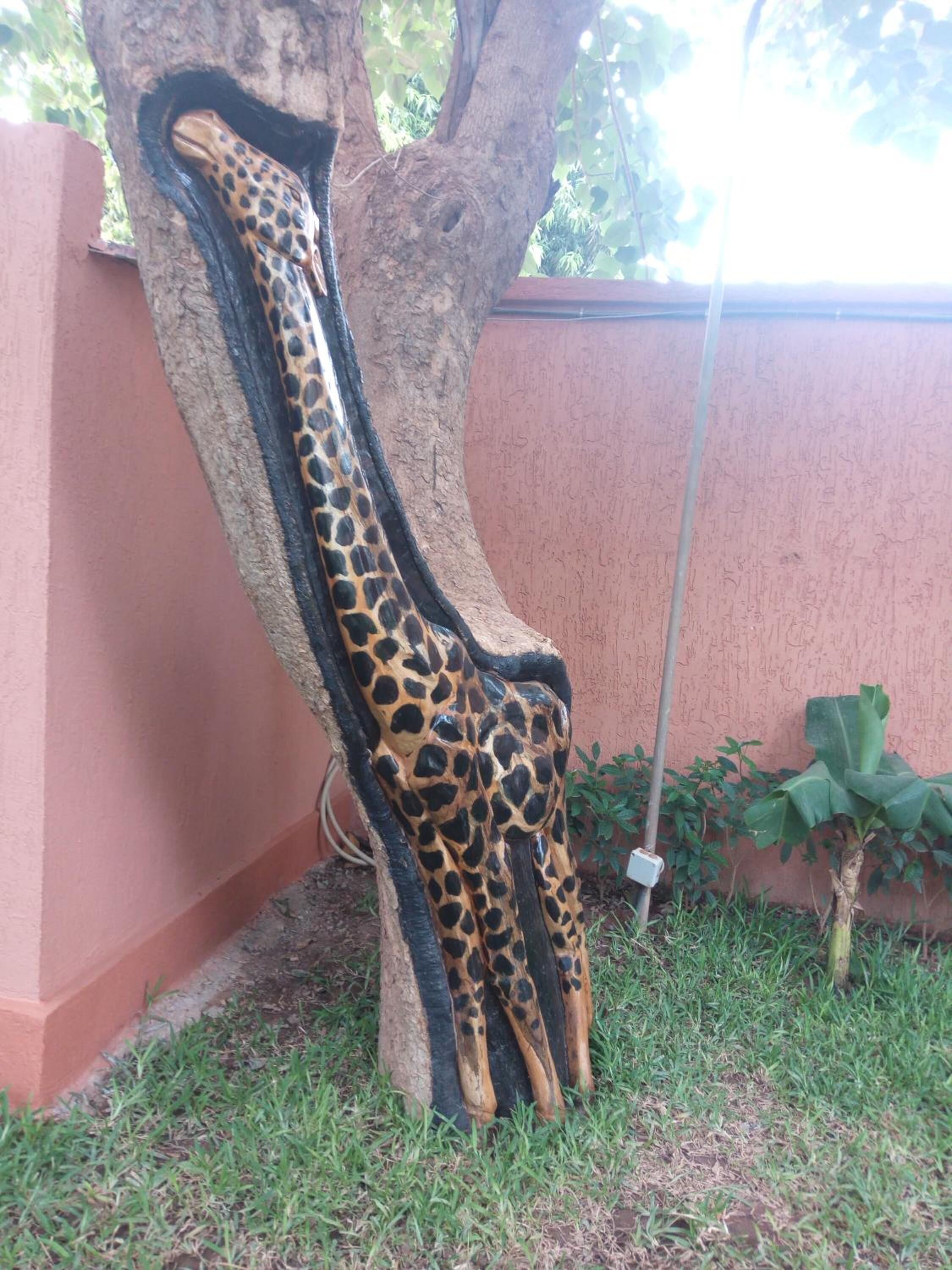 Foto - Sarada Hôtel