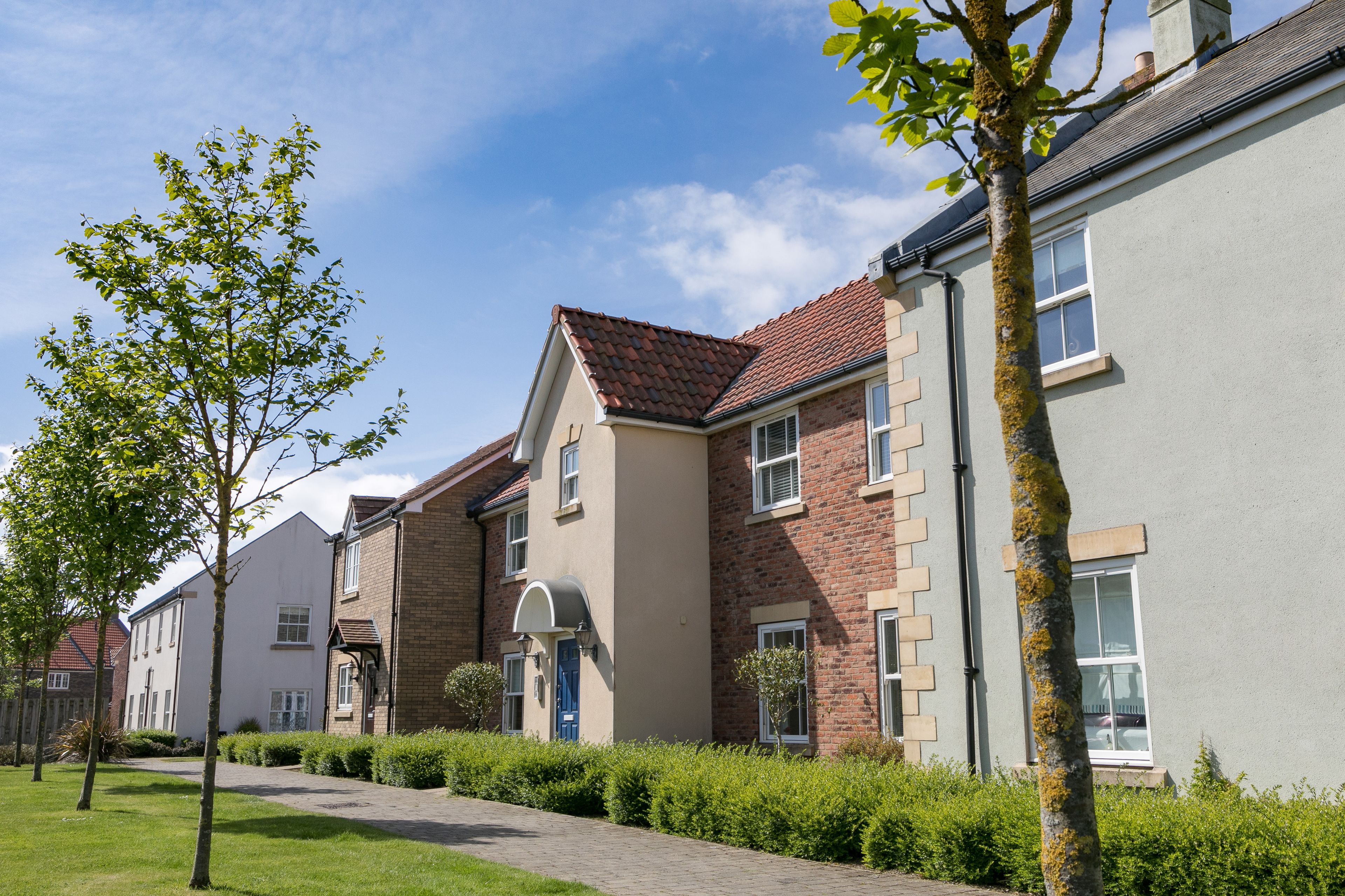 A row of modern townhouses with a paved walkway, neatly trimmed hedges, and a clear blue sky.