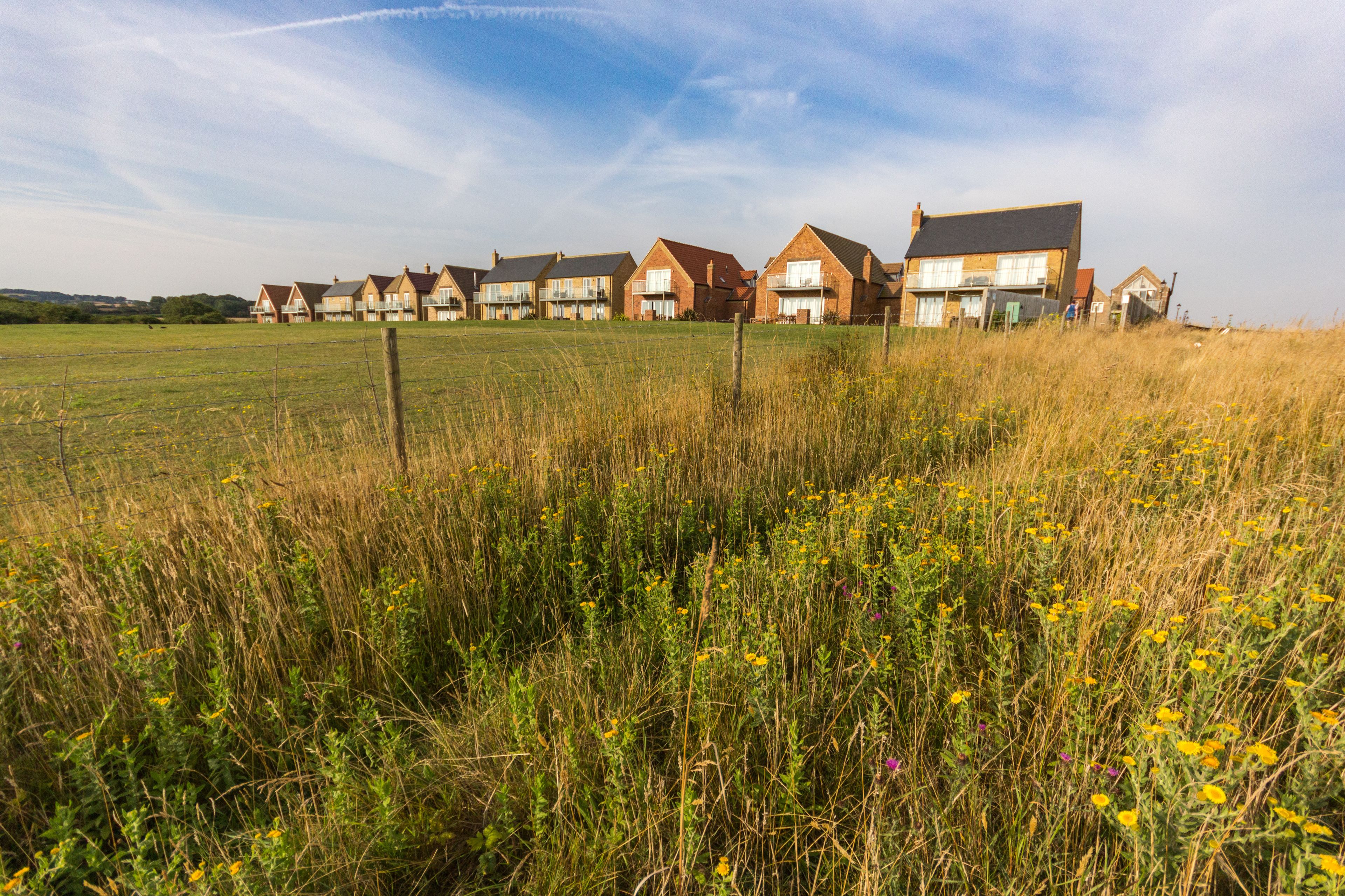 A row of brick houses with large windows and a grassy field in the foreground.